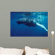 Humpback Whale Calf Silver Wall Decal