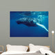 Humpback Whale Calf Silver Wall Decal