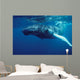 Humpback Whale Calf Silver Wall Decal