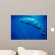 Sperm Whale Azores Islands Wall Decal Design 2