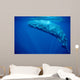Sperm Whale Azores Islands Wall Decal Design 2