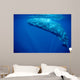 Sperm Whale Azores Islands Wall Decal Design 2