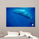 Sperm Whale Azores Islands Wall Decal Design 2