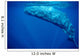 Sperm Whale Azores Islands Wall Decal Design 2