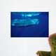 Sperm Whale Azores Islands Wall Decal Design 1