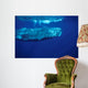 Sperm Whale Azores Islands Wall Decal Design 1