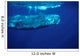 Sperm Whale Azores Islands Wall Decal Design 1