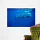 Sperm Whale Photographed off Wall Decal Design 4