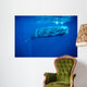 Sperm Whale Photographed off Wall Decal Design 4