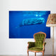 Sperm Whale Photographed off Wall Decal Design 4