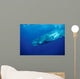 Sperm Whale Photographed off Wall Decal Design 3