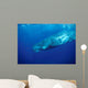 Sperm Whale Photographed off Wall Decal Design 3