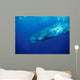Sperm Whale Photographed off Wall Decal Design 3
