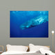 Sperm Whale Photographed off Wall Decal Design 3