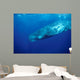 Sperm Whale Photographed off Wall Decal Design 3