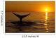 Northern Right Whale Sunset Wall Decal Design 2