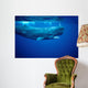 Sperm Whale Photographed off Wall Decal Design 2