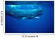 Sperm Whale Photographed off Wall Decal Design 2