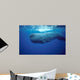 Sperm Whale Photographed off Wall Decal Design 1