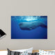 Sperm Whale Photographed off Wall Decal Design 1