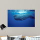 Sperm Whale Photographed off Wall Decal Design 1