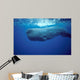 Sperm Whale Photographed off Wall Decal Design 1