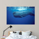 Sperm Whale Photographed off Wall Decal Design 1