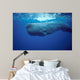 Sperm Whale Photographed off Wall Decal Design 1