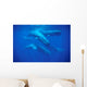 Group Sperm Whale Swimming Wall Decal Design 2