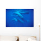 Group Sperm Whale Swimming Wall Decal Design 2
