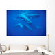 Group Sperm Whale Swimming Wall Decal Design 2
