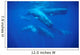 Group Sperm Whale Swimming Wall Decal Design 2
