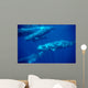 Group Sperm Whale Swimming Wall Decal Design 1