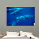 Group Sperm Whale Swimming Wall Decal Design 1