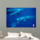 Group Sperm Whale Swimming Wall Decal Design 1
