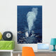 Blue Whale Photographed Gulf Wall Decal Design 2