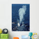 Blue Whale Photographed Gulf Wall Decal Design 2