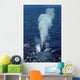 Blue Whale Photographed Gulf Wall Decal Design 2