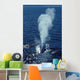 Blue Whale Photographed Gulf Wall Decal Design 2