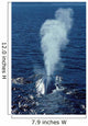 Blue Whale Photographed Gulf Wall Decal Design 2