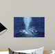 Blue Whale Photographed Gulf Wall Decal Design 1