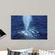 Blue Whale Photographed Gulf Wall Decal Design 1