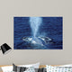 Blue Whale Photographed Gulf Wall Decal Design 1