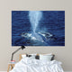 Blue Whale Photographed Gulf Wall Decal Design 1