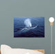Fin Whale Gulf Maine Wall Decal