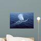 Fin Whale Gulf Maine Wall Decal