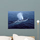 Fin Whale Gulf Maine Wall Decal