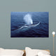 Fin Whale Gulf Maine Wall Decal
