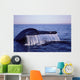 Tail Fluke Blue Whale Wall Decal Design 2