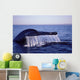 Tail Fluke Blue Whale Wall Decal Design 2